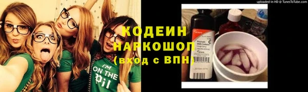 индика Армянск