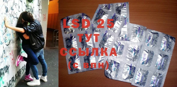 индика Армянск