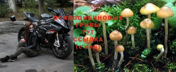 скорость Аркадак
