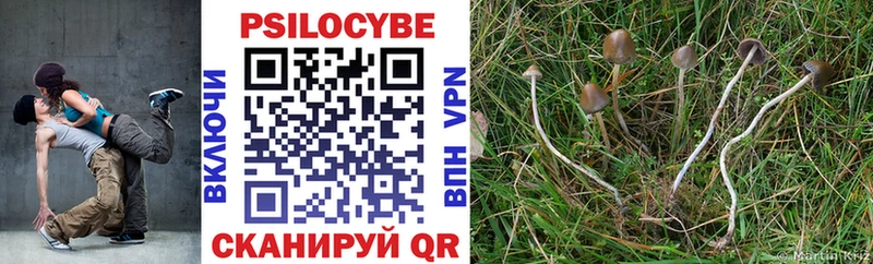 где купить наркоту  Нижняя Тура  Псилоцибиновые грибы мухоморы 